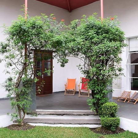 La Casa De Las Magnolias Hotel Coyoacan Exterior photo