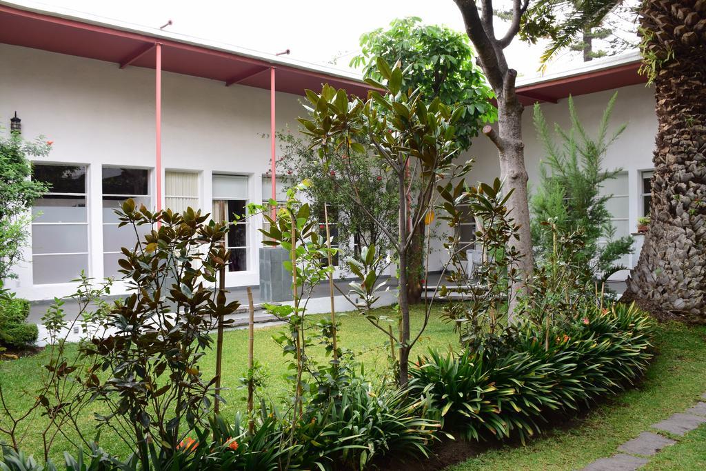 La Casa De Las Magnolias Hotel Coyoacan Exterior photo