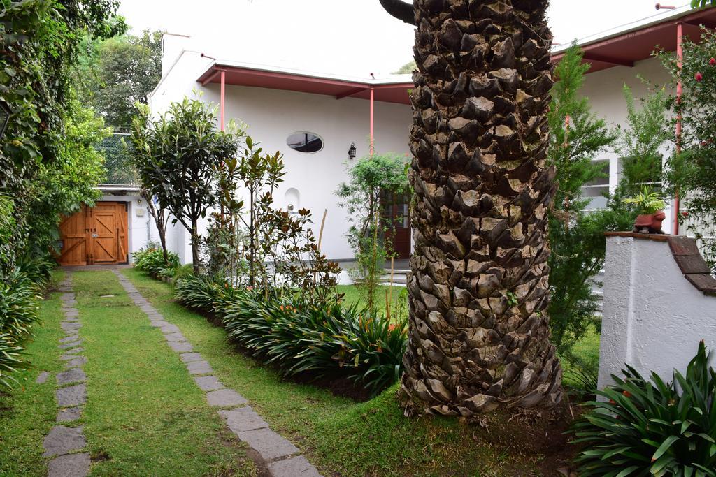 La Casa De Las Magnolias Hotel Coyoacan Exterior photo