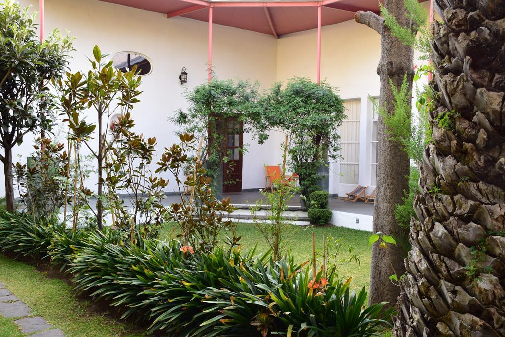 La Casa De Las Magnolias Hotel Coyoacan Exterior photo