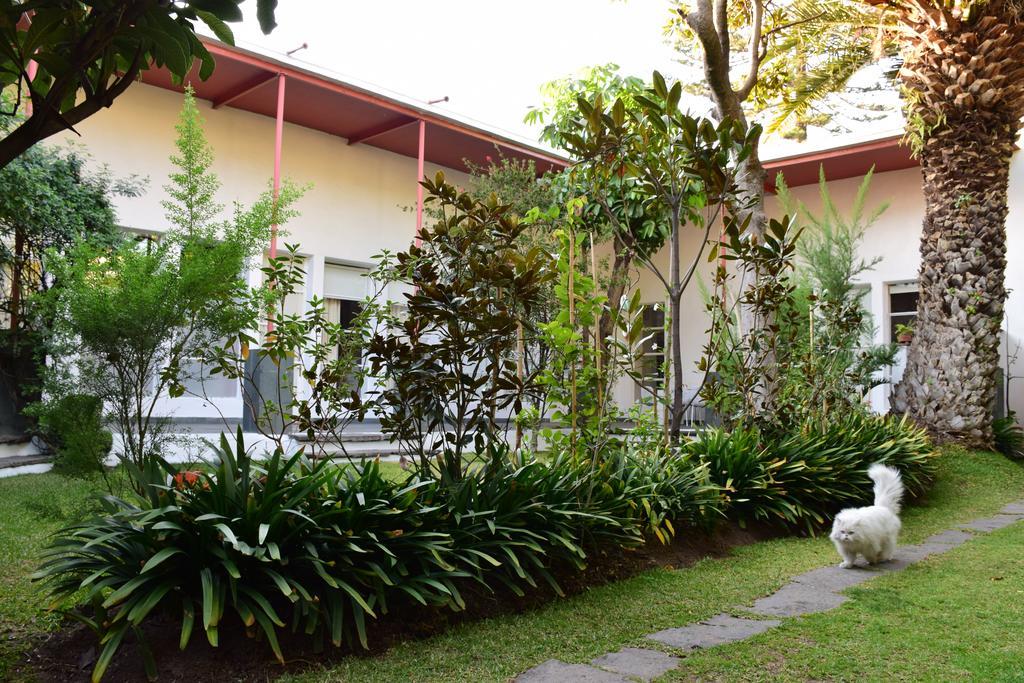 La Casa De Las Magnolias Hotel Coyoacan Exterior photo