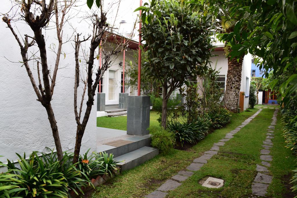 La Casa De Las Magnolias Hotel Coyoacan Exterior photo